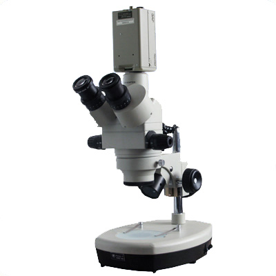 MN-6T模拟摄像体视显微镜
