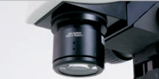 Leica体视显微镜M125 M165 C M205 C M205 A