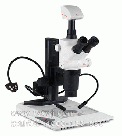 Leica S8APO研究级手动体视显微镜