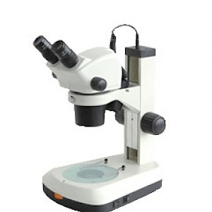 UM145A连续变倍体视显微镜