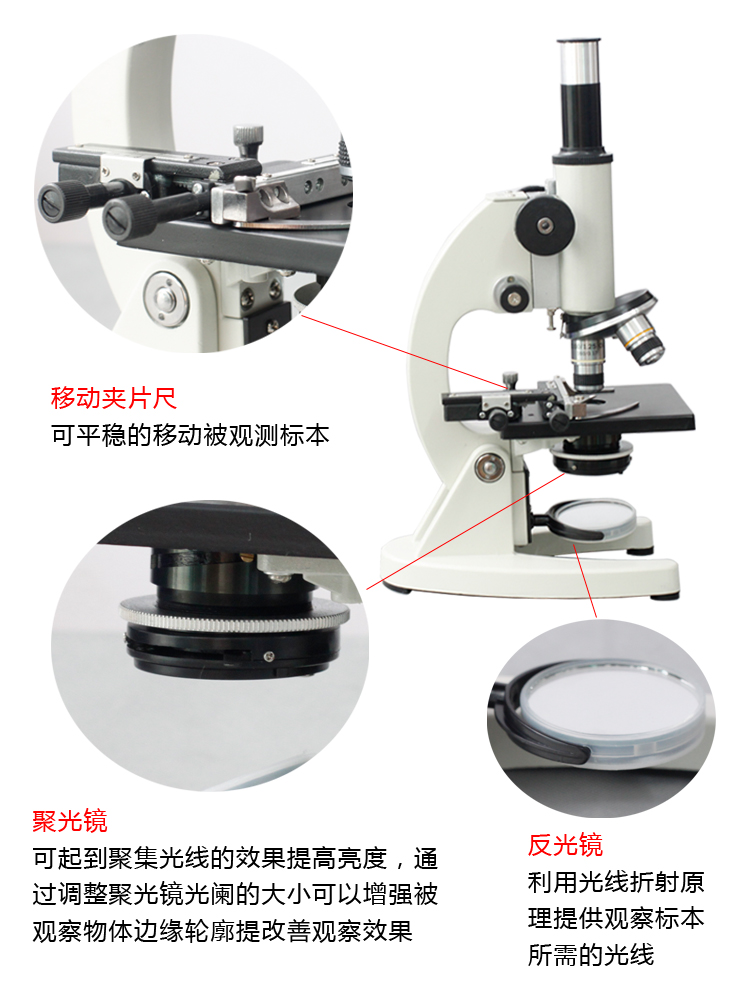 怎样给孩子选购Zui合适的学生显微镜？