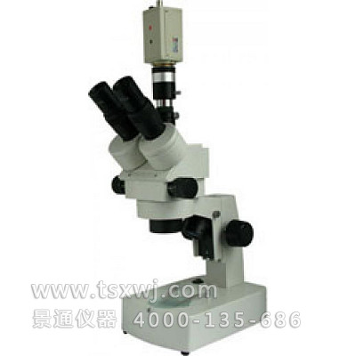 XTZ-EC三目正置体视显微镜