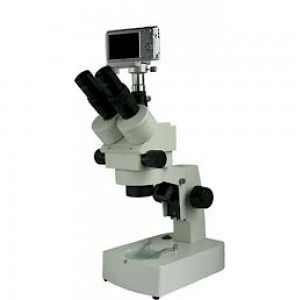XTZ-ES三目正置体视显微镜
