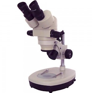 XTL-BM-7B双目正置体视显微镜