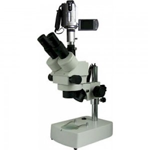 XTZ-EAV三目正置体视显微镜