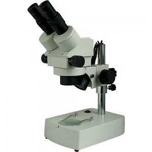 XTZ-DA双目正置体视显微镜