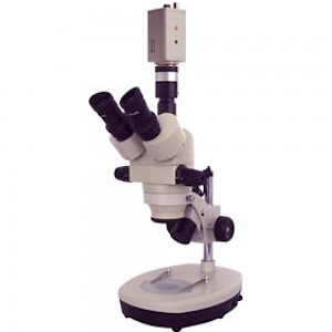 XTL-BM-7TC三目正置体视显微镜