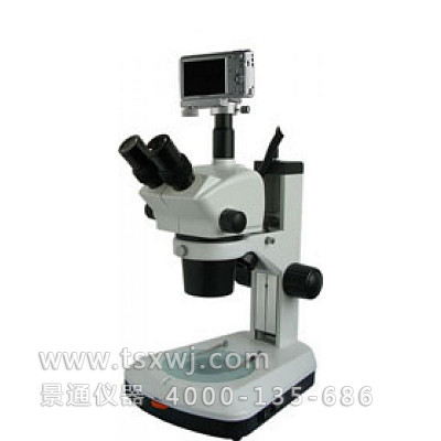 XTL-BM-8TS三目正置体视显微镜