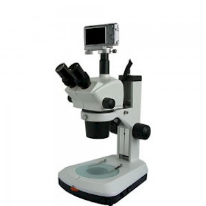 XTL-BM-8TS三目正置体视显微镜