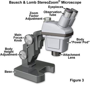 体视显微镜发展历程和组成结构