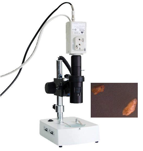 XTZ-T2GV单目电脑型立体显微镜