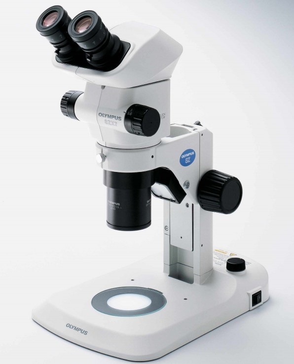 体视显微镜用于观察小动物解剖