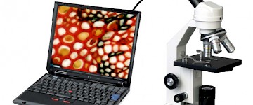 奥林巴斯显微镜怎样用摄像头联接电脑