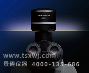 DP73奥林巴斯高色彩还原、高品质荧光成像工业显微镜摄像头