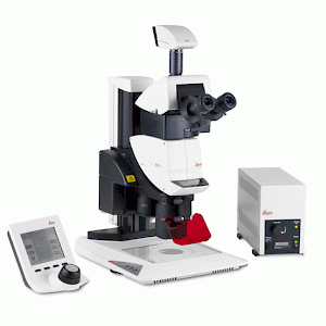 Leica M205FA自动荧光体视显微镜