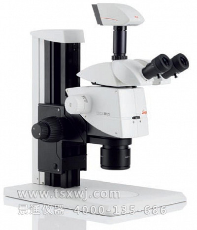 M165光纤照明系统体视显微镜