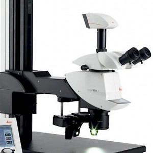 M125复消色差体视显微镜