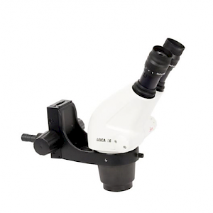 S6 徕卡立体显微镜