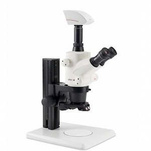 S6D S6E大视野立体显微镜