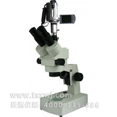XTZ-EV三目正置体视显微镜