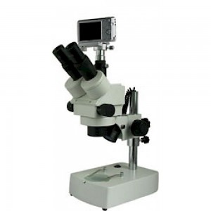 XTZ-EAS三目正置体视显微镜