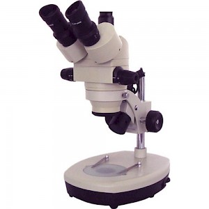 XTL-BM-7T三目正置体视显微镜