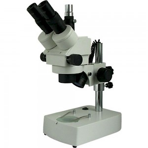 XTZ-EA三目正置体视显微镜