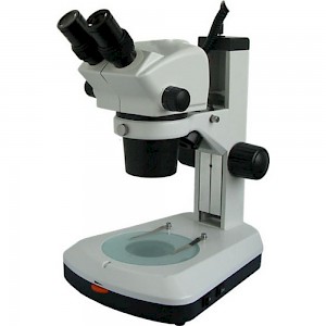XTL-BM-8B双目正置体视显微镜