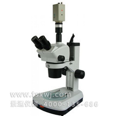 XTL-BM-8TC三目正置体视显微镜