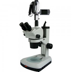 XTL-BM-8TV三目正置体视显微镜
