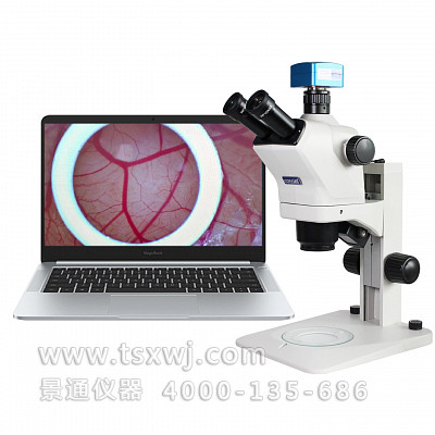 VMS880A复消色差体视显微镜线虫斑马鱼胚胎发育